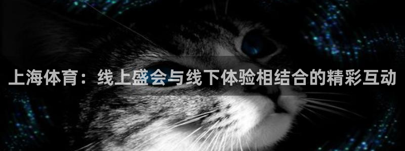 上海体育：线上盛会与线下体验相结合的精彩互动