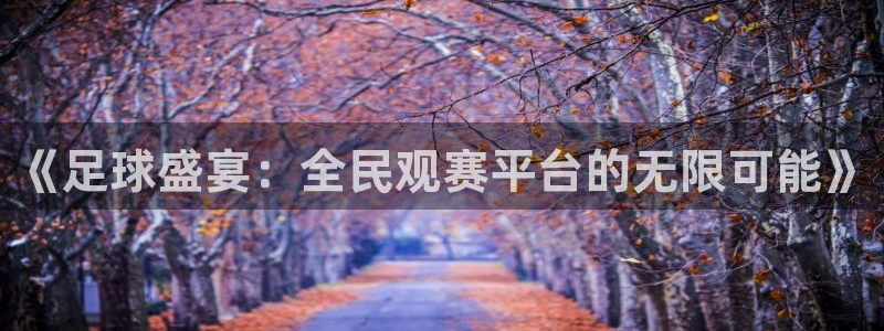 《足球盛宴：全民观赛平台的无限可能》