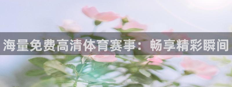 海量免费高清体育赛事：畅享精彩瞬间