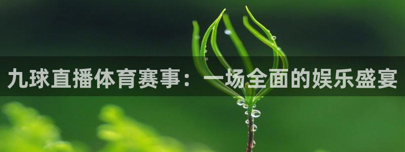 九球直播体育赛事：一场全面的娱乐盛宴