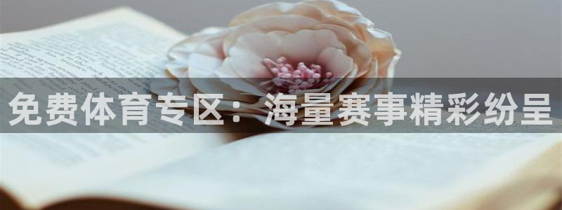 免费体育专区：海量赛事精彩纷呈
