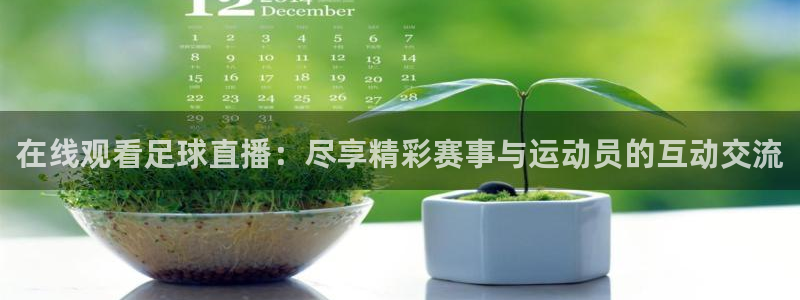 在线观看足球直播：尽享精彩赛事与运动员的互动交流