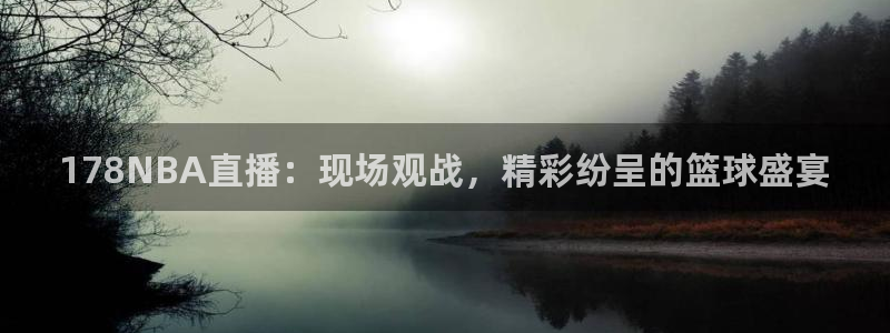178NBA直播：现场观战，精彩纷呈的篮球盛宴