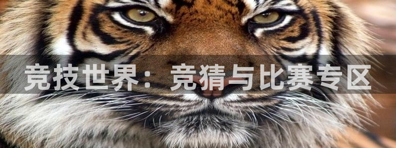 竞技世界：竞猜与比赛专区