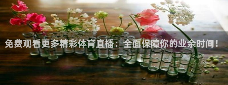 免费观看更多精彩体育直播：全面保障你的业余时间！