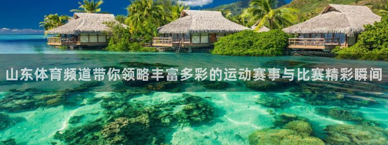 06年世界杯巴西对日本：山东体育频道带你领略丰富多彩的运动赛事与比赛精彩瞬间