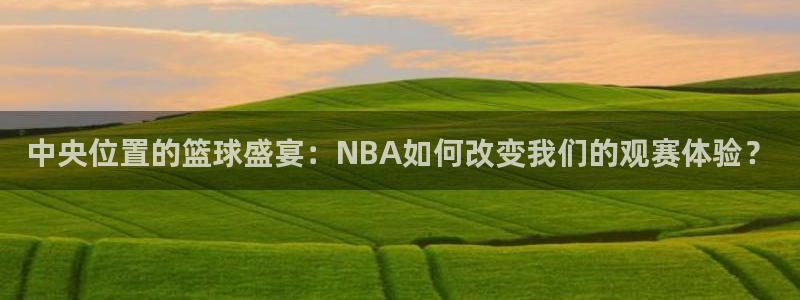 比赛赛程世界杯：中央位置的篮球盛宴：NBA如何改变我们的观赛体验？