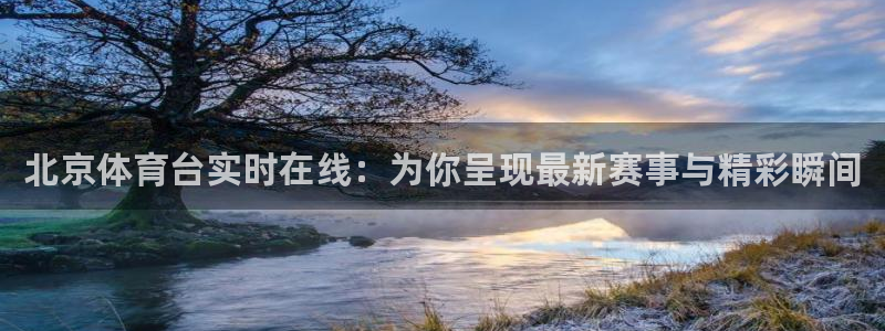 世界杯直播哪里能看：北京体育台实时在线：为你呈现最新赛事与精彩瞬间