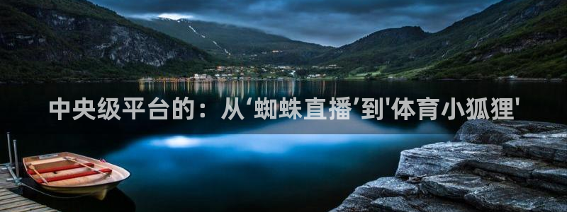 2022年世界杯颁奖典礼视频回放：中央级平台的：从‘蜘蛛直播’到\'体育小狐狸\'