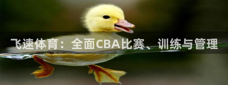 男篮世界杯32强全部出炉：飞速体育：全面CBA比赛、训练与管理